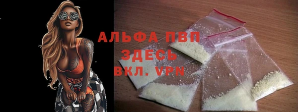 spice Инта