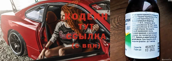 spice Инта