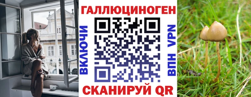 Галлюциногенные грибы GOLDEN TEACHER  Кимовск 